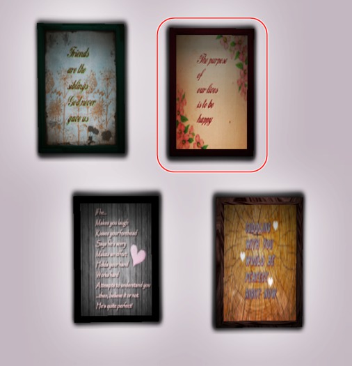 .:ND:. Picture frame -  the purpose of our lives