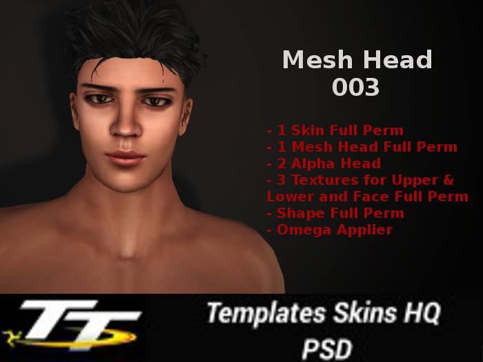 [TT] -Mesh Head 003 Full Perm (boxed)