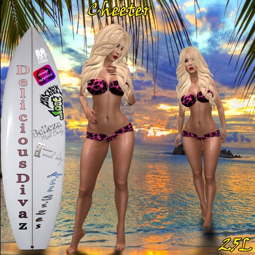 Cheeter Bikini *Comes with Appliers*
