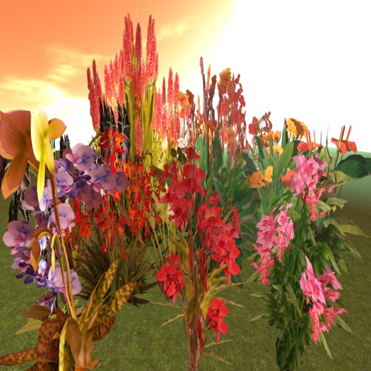 CM 12 diff. Jungle Flowers BoX