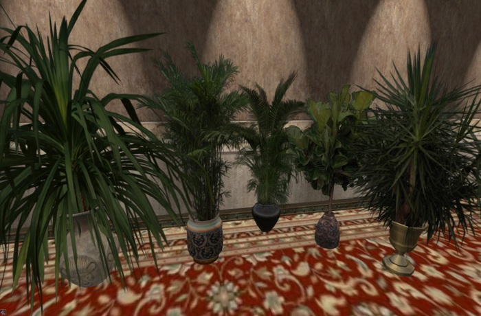 CM pottet Plants BOX