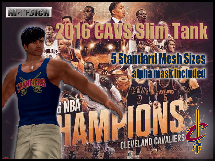 H2D Cavs 2016 Slim Vest Package