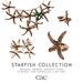 Starfish collection vendor