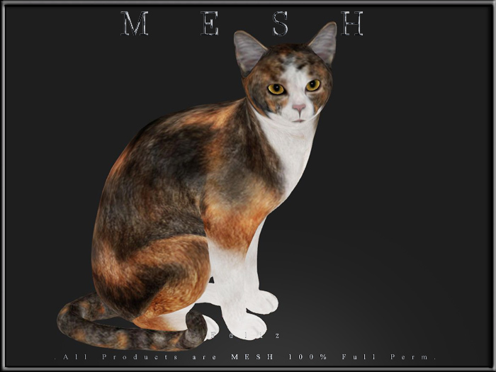 [Feliz] Cat - MESH FULL PERM