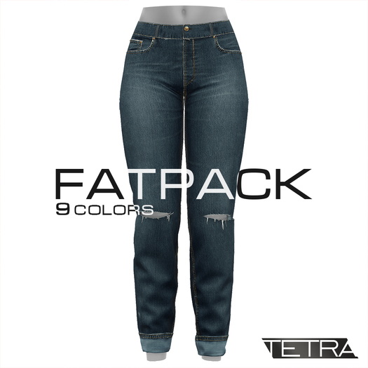 TETRA - High-Waisted Ripped Jeans (Fatpack)