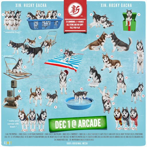 xin. husky present (surprise!) + RARE