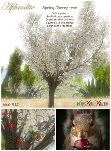 Aphrodite Spring Cherry tree-White color- Loving squirrels anim