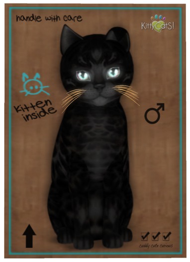 KittyCatS Box - Bengal - Black
