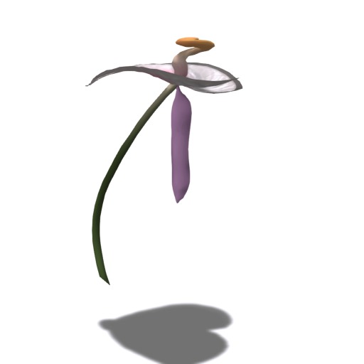 {Papillon} A Holiday Butterfly Starter