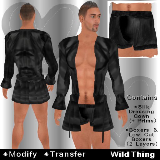 (WildThing) *- Black Silk Dressing Gown -*