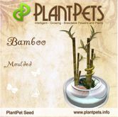 PlantPet Seed [Bamboo *Moulded*] Common