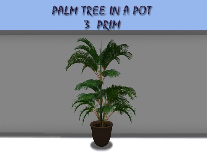 LADY X - Palm tree in a pot 
