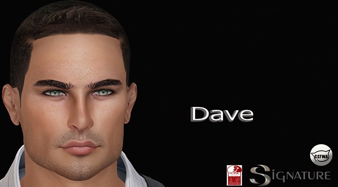 DAVE - APPLIER - HUD - PACK