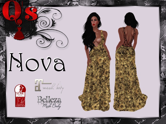 Q's Nova Golden