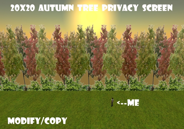 20x20 Autumn Tree Privacy Screen (Seamless)