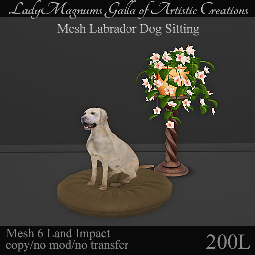 LadyMs Mesh Labrador Dog Sitting 1   6li