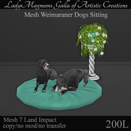 LadyMs Mesh Weimaraner Dogs Sitting 1  7li