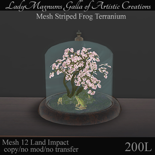 LadyMs Mesh Striped Frog Terranium