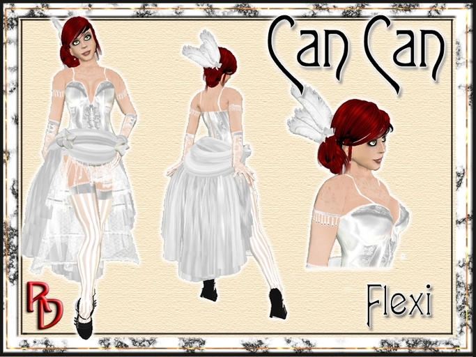 Wedding CanCan Girl