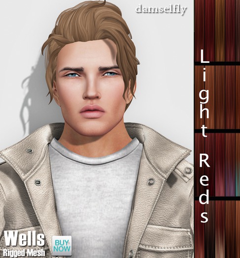 *~*Damselfly*~*Wells Light Reds