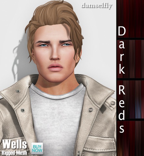 *~*Damselfly*~*Wells Dark Reds