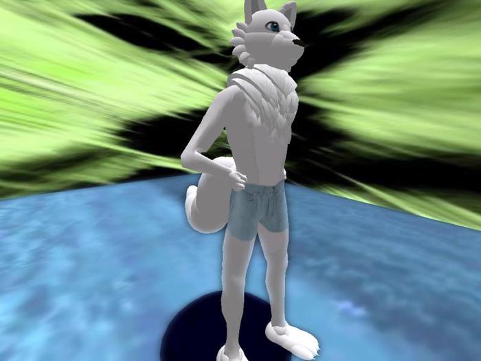 snow wolf