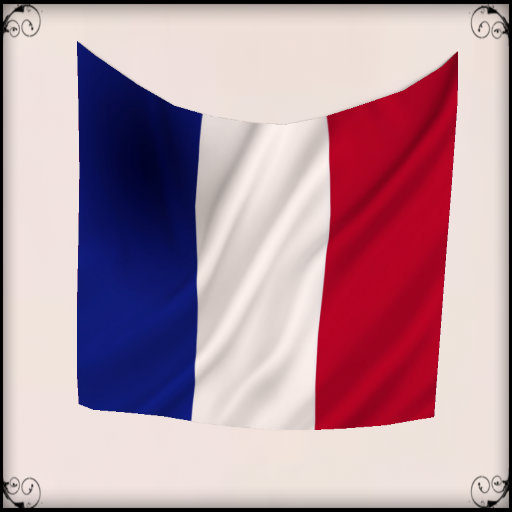 *K* France Flag