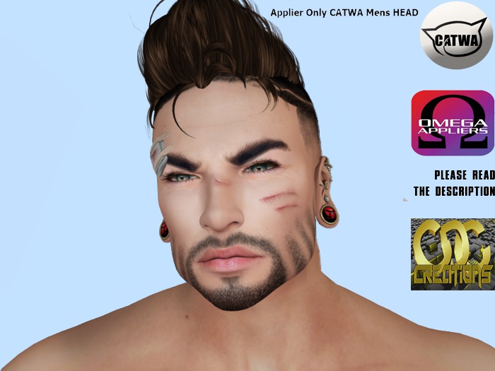 .:: CDC HUd Beard #5  ** UNPACK**