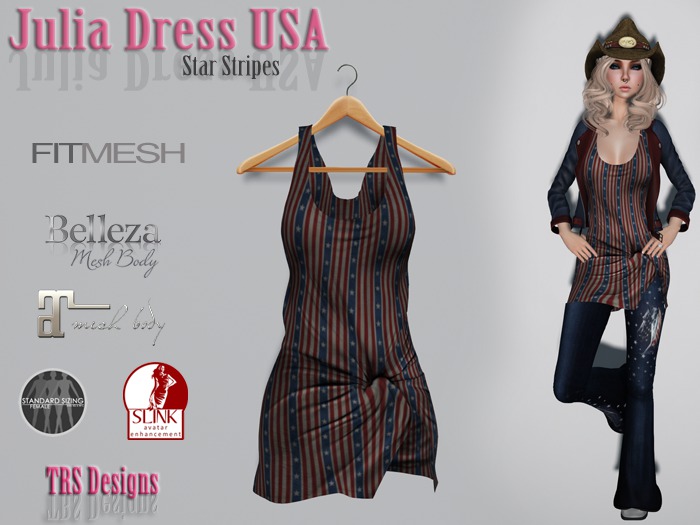 Julia Dress Star Stripes