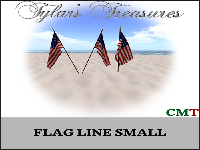 .:TT:.  FLAG LINE SMALL  BOX