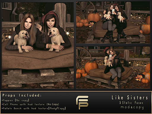 .Focus Poses. Like Sisters