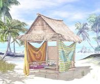 Zaara [Goa party] : 1 Palolem beach shack RARE
