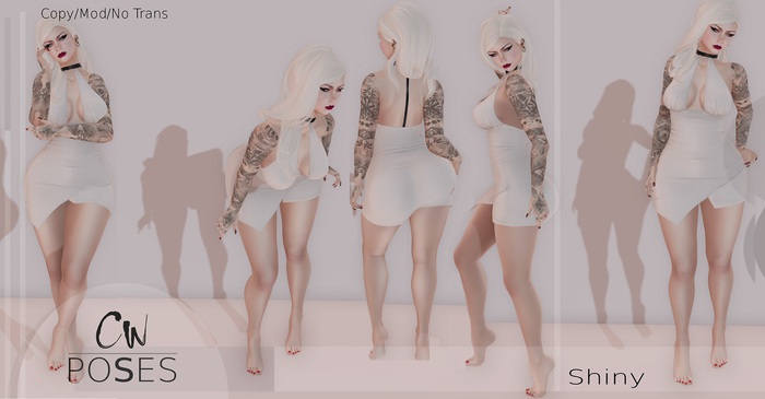 CW Poses - Shiny - [5 poses pack]