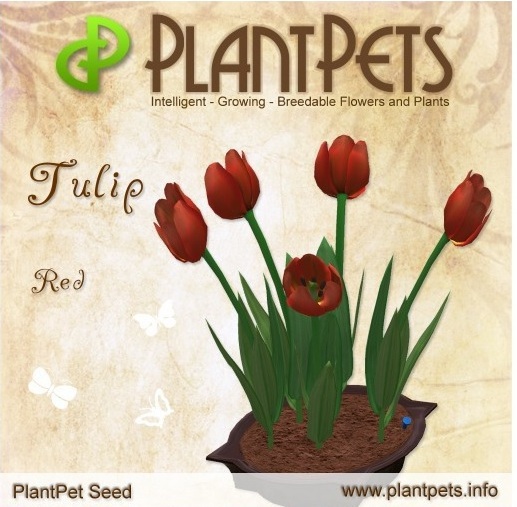 PlantPet Seed [Tulip *Red*]