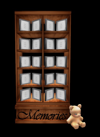 *OnE* Memories Bookcase