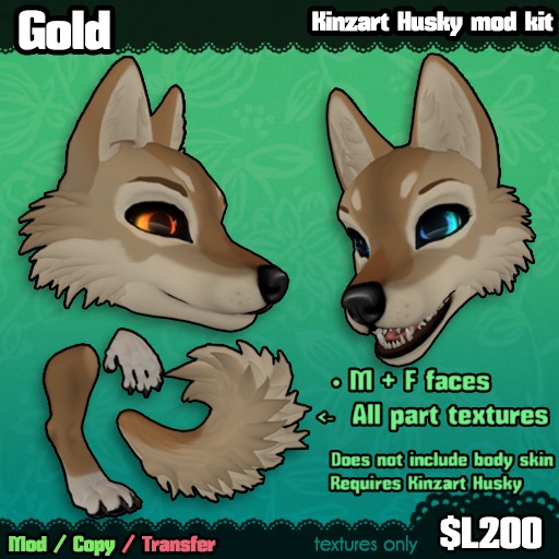 Gold - KZK Husky [retired]
