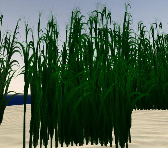 Schilfgras/Reed flexi