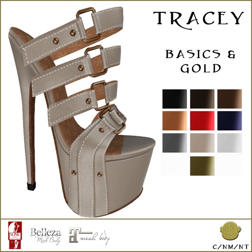 BM Tracey Platforms Basics DEMO