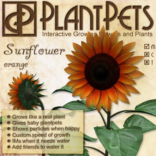PlantPet Seed [Sunflower *Orange*]
