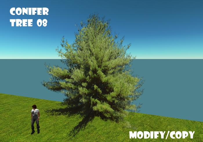 Conifer Tree 08 (Flexi)