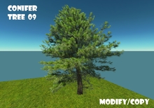 Conifer Tree 09 (Flexi)