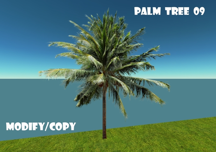 Palm Tree 09 (Flexi)