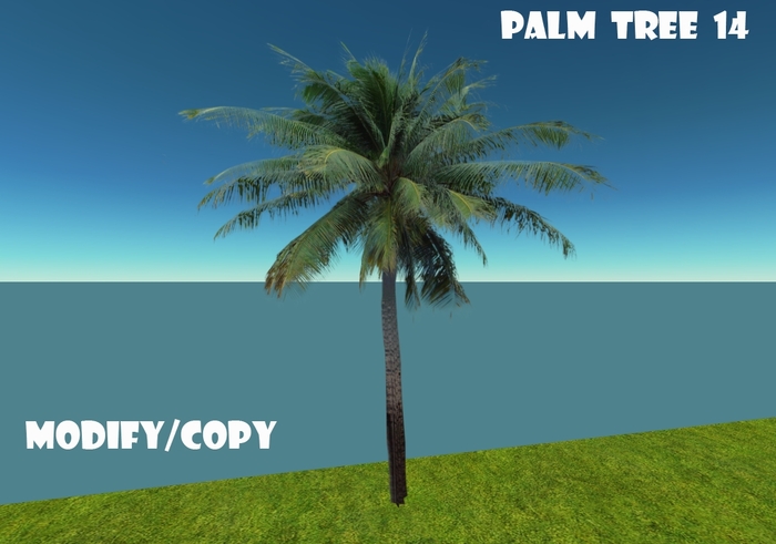 Palm Tree 14 (Flexi)