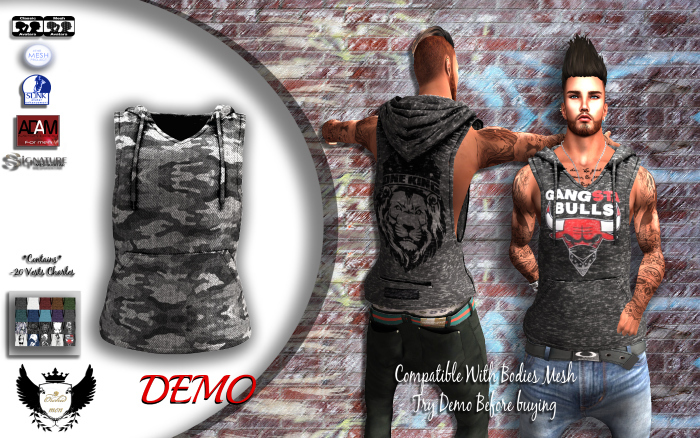 DEMO_Vest Charles HUD