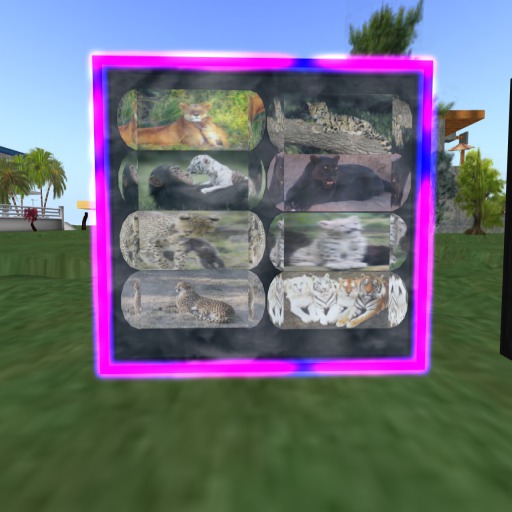 Glass SnowBoard Case2