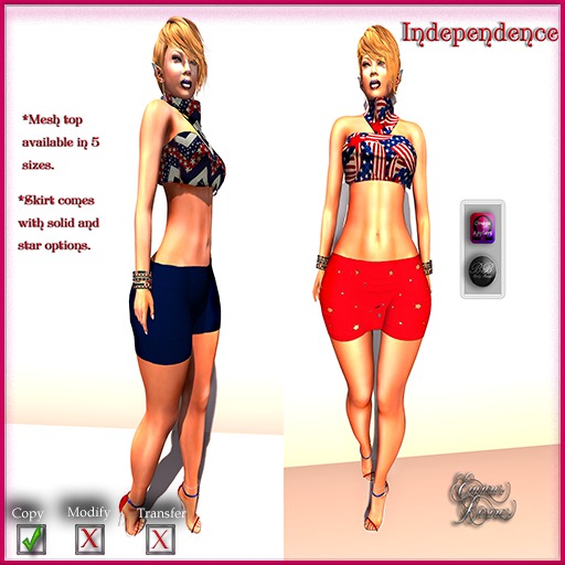 *E.D.* Independence 2016 Skirt ~ Red ~ Shopping Tote (Add)