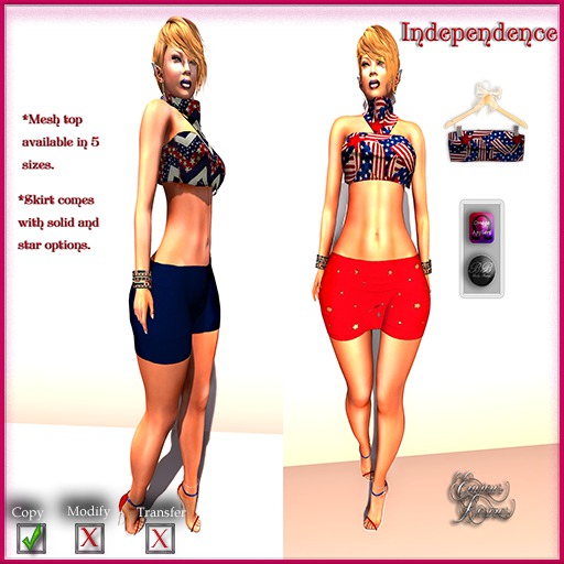 *E.D.* Independence 2016 Top ~ V2 ~ Shopping Tote (Add)