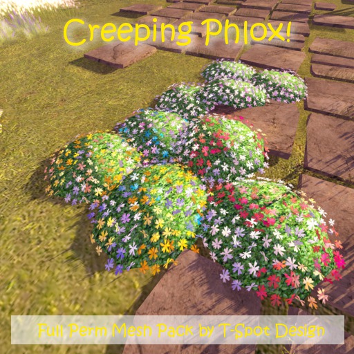 T-Spot Mesh - Creeping Phlox - Full Perm Mesh - LI=0.5