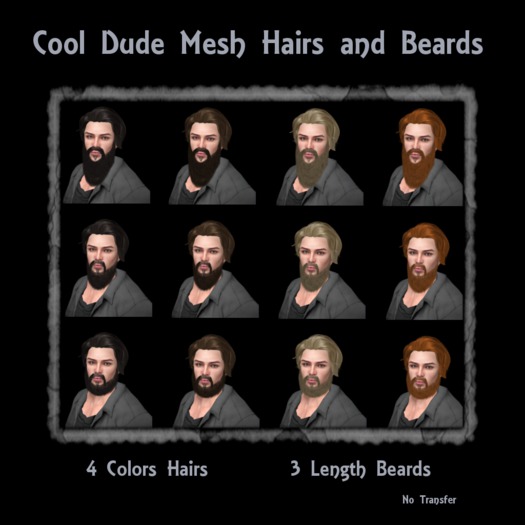 Cool Dude Mesh Hairs and Beards Boxed