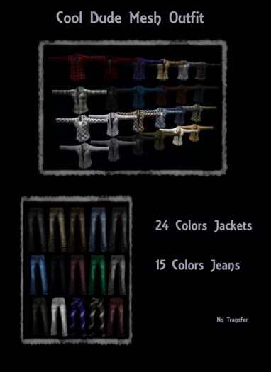 Cool Dude Mesh Outfit